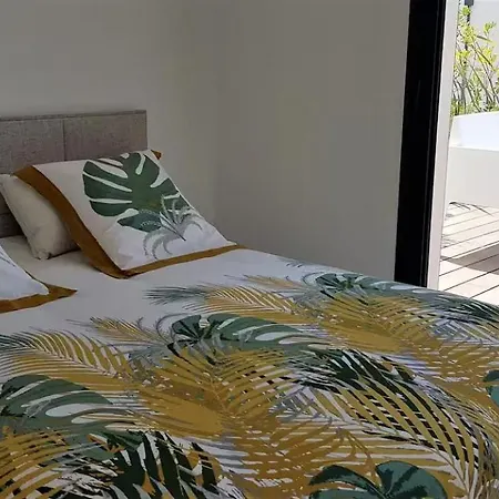 Stunning Family With Pool In Cap D'agde Feriehus Agde